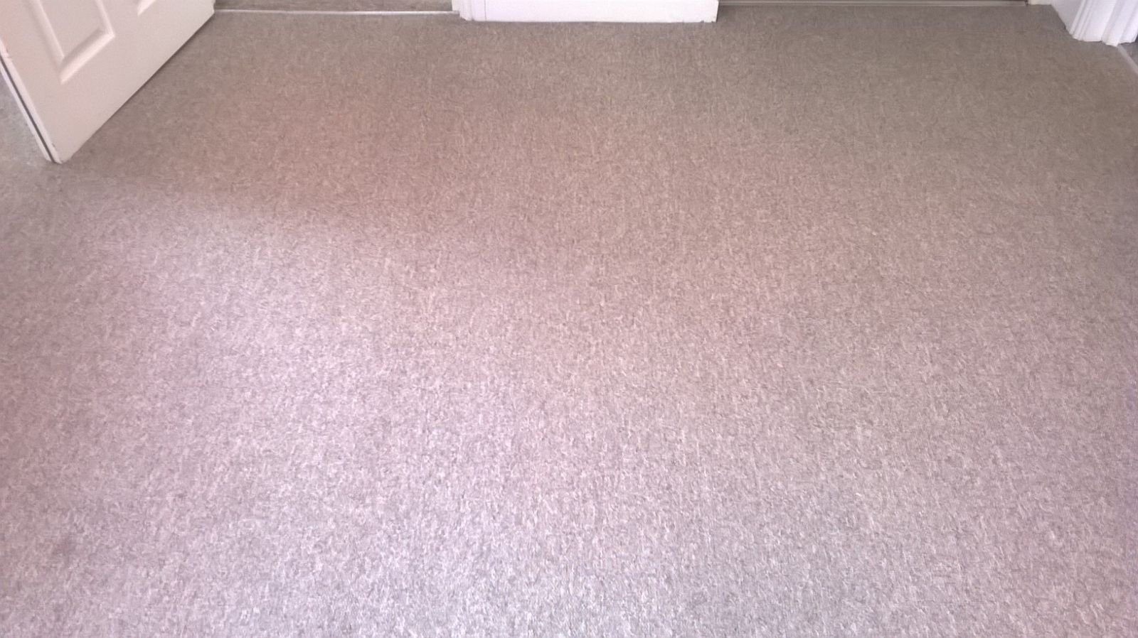 Carpet after LDM Services had cleaned it 