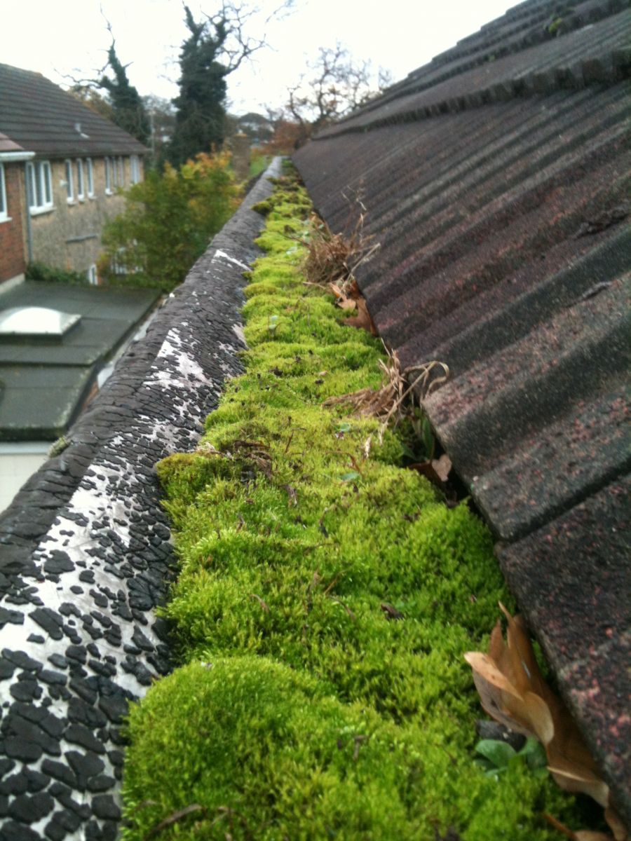 Before using the gutter vacuum system
