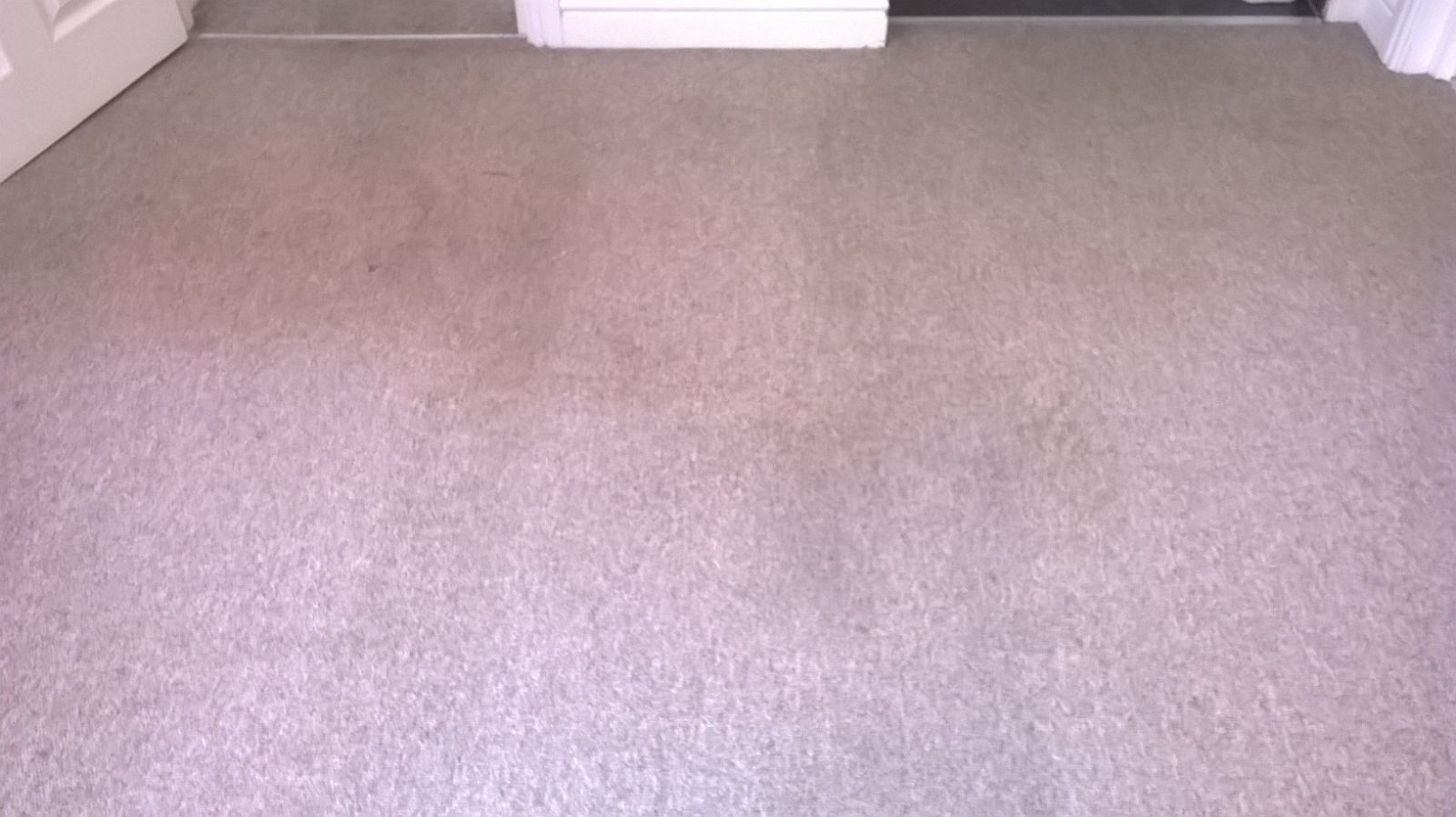 Dirty carpet before