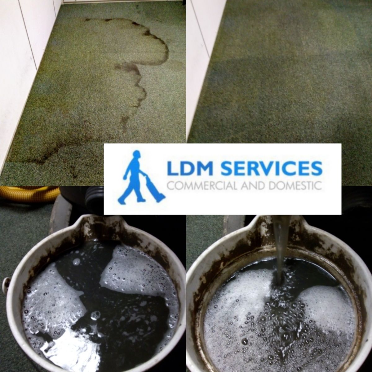 Before and after carpet cleaning by LDM Services